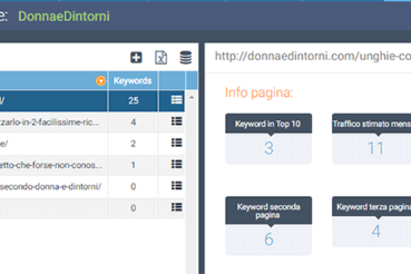 pagine-monitorate-seozoom