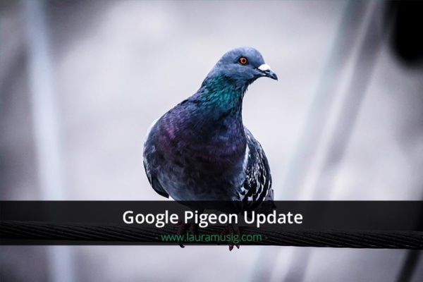 google-pigeon-update