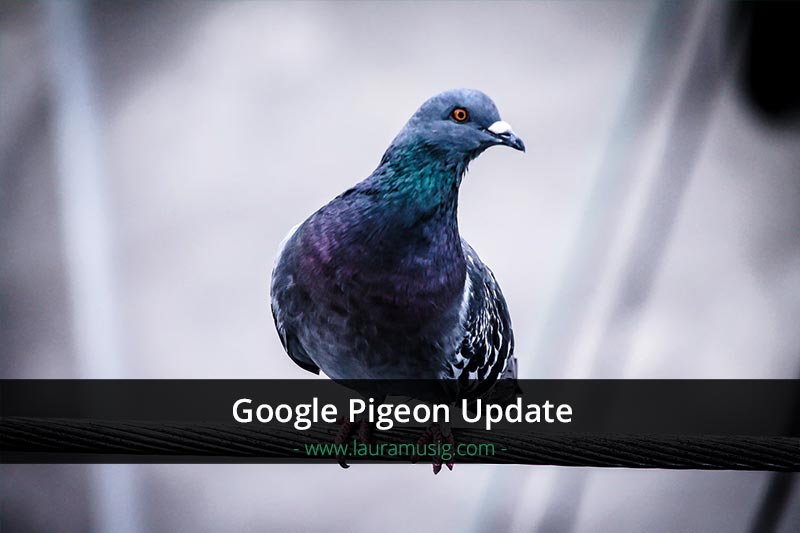 google-pigeon-update