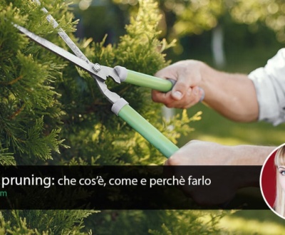 guida-content-pruning